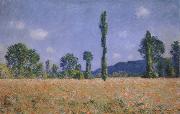 Claude Monet Poppy Field Sweden oil painting artist